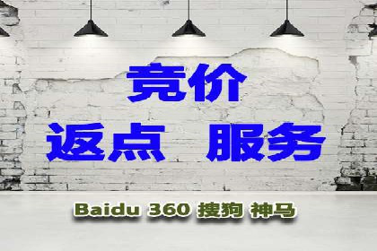案例研究：如何通过竞价广告实现精准营销